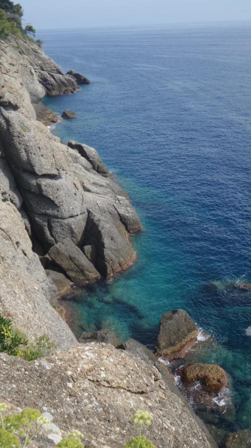 Blue A'Mare Apartman Lavagna Kültér fotó